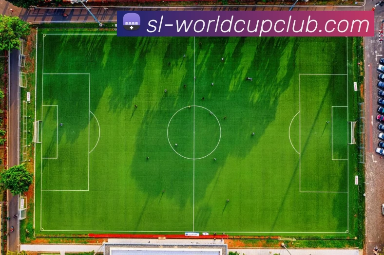 体育赛事信息平台生态图